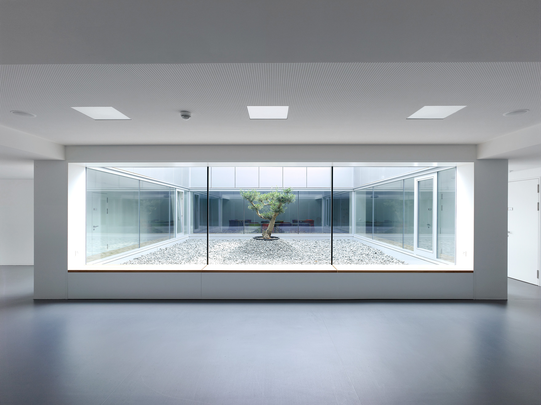 Projet Ems Fully- Bureau d'architecture Game