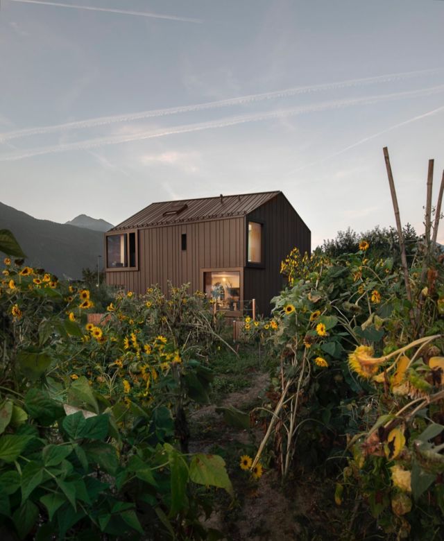 Villa individuelle.

Photographe : @christophevoisin 

#architecture #valais #archdaily #gamevs #martigny #nature #photography #architecturephotography #house #sunflowers #goldlight #naturearchitecture #swissarchitecture #swissarchitects